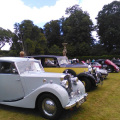 Classic cars at Bicton