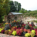 Glorious Gardens at Bridge House