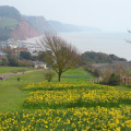 Sidmouth East Devon