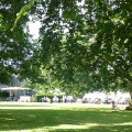 Summer afternoon at Dartington