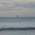 Boats in the bay