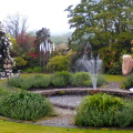 Glorious Gardens at Delamore