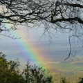 Rainbow at Haldon