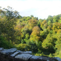 Wooded valley around Berry Pomeroy Castle