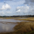 Topsham marshes, Exe Estuary trail