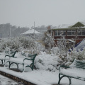 Snow in Dawlish Warren