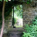 Bradley gardens, National Trust, Devon