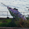 Sculpture trail Teignmouth seafront