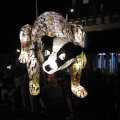 Puppet Lantern at Sidmouth